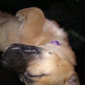 Meet your Posher, Randy